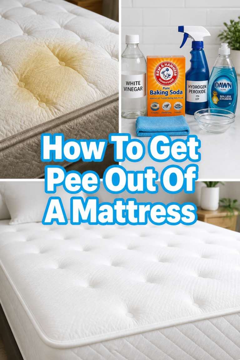 🛏️ How To Get Pee Out Of A Mattress